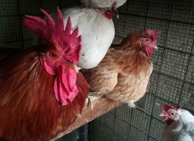 펜션 Tra Grilli E Cicale