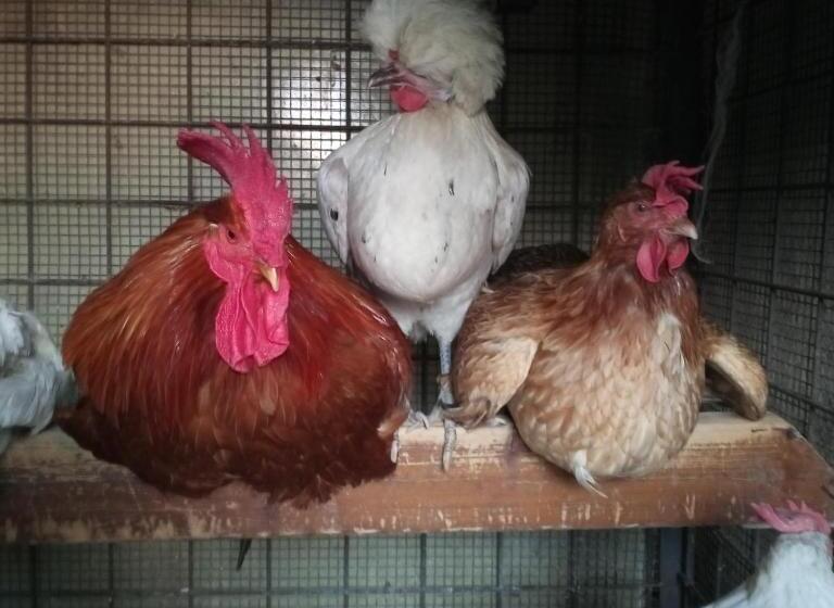 펜션 Tra Grilli E Cicale