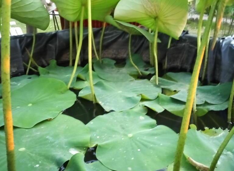 펜션 Tra Grilli E Cicale