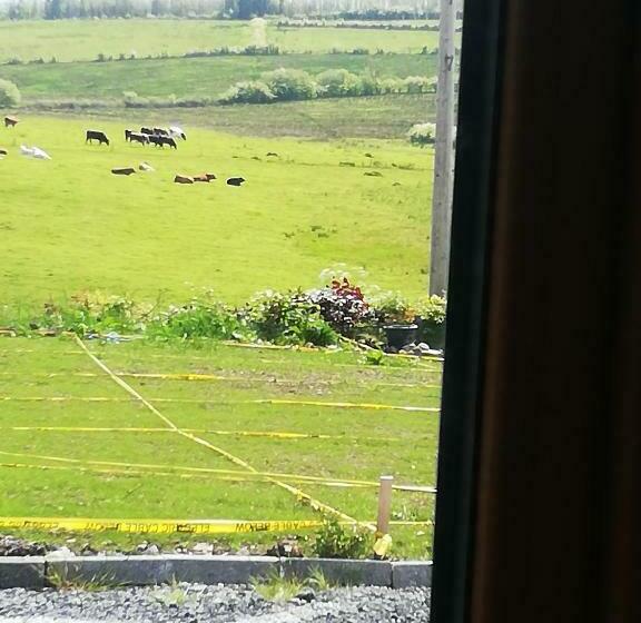 פנסיון Peace And Tranquility