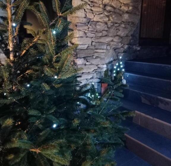 פנסיון V&v Rentroom Design