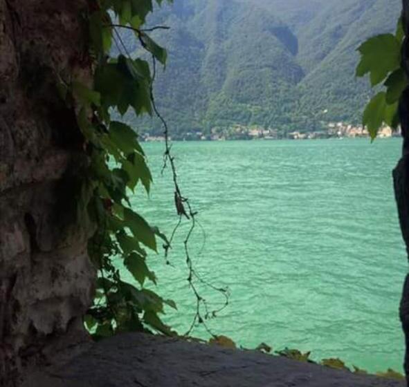 Reginaldo S Home Bed&breakfast