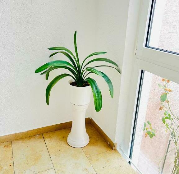 Общежитие Weller Kahl Am Main