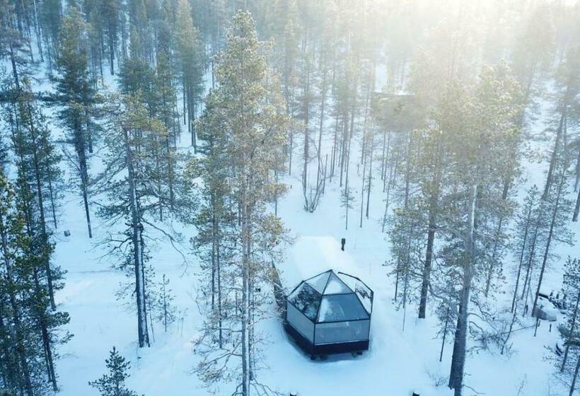 Aurora Queen Resort Igloos