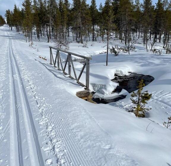 Aurora Queen Resort Igloos