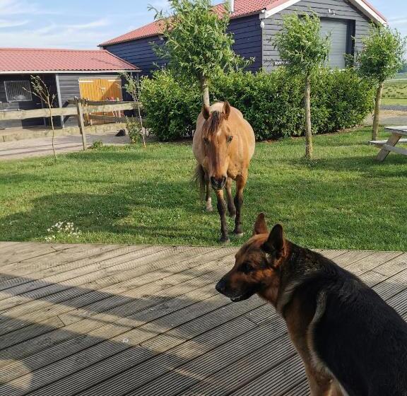 B&b Op De Terp