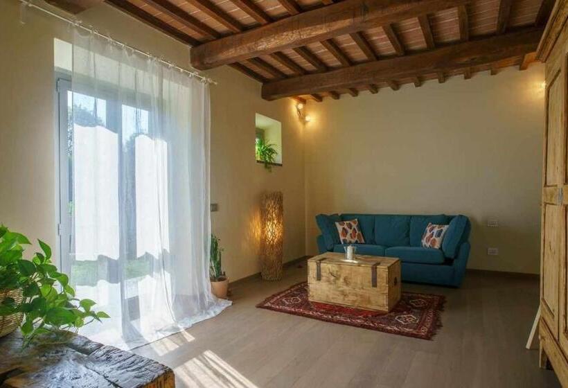 ベッドアンドブレックファースト Alba Morus Bed E Breakfast Sentiti A Casa Nel Cuore Della Toscana