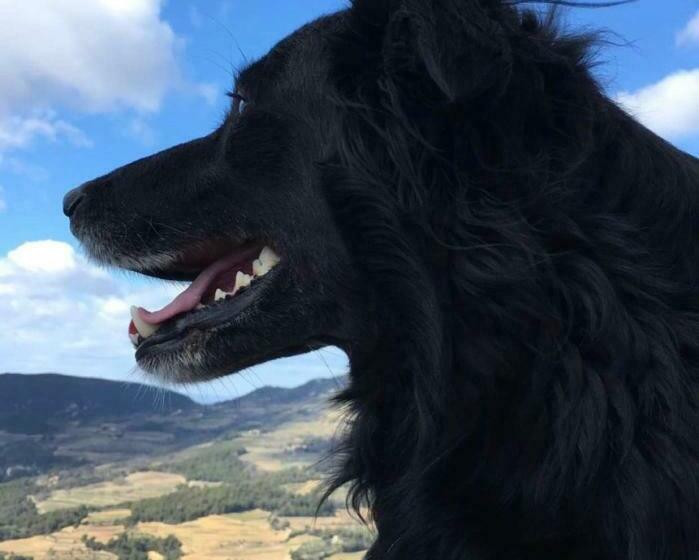 צימר Chambre D Hôte Au Pied Du Ventoux