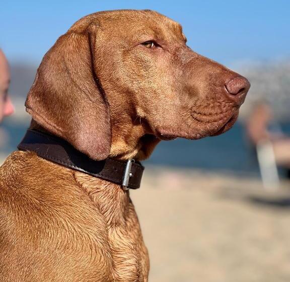 צימר Chambre D Hôte Au Pied Du Ventoux