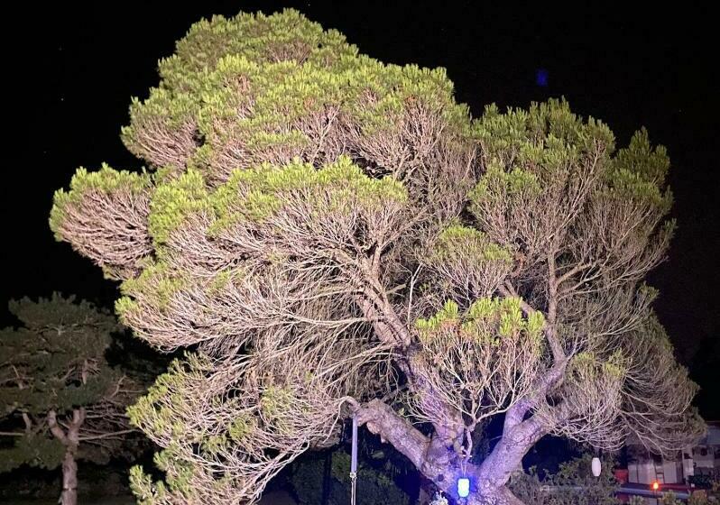 住宿加早餐 Domaine Les Vinyes