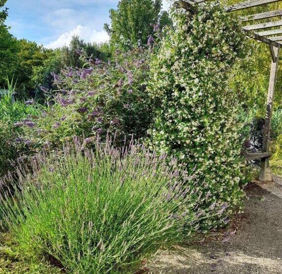 Bed and Breakfast Merlettes Des Sables