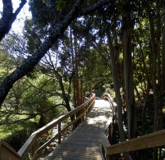 ベッドアンドブレックファースト O Homem Verde