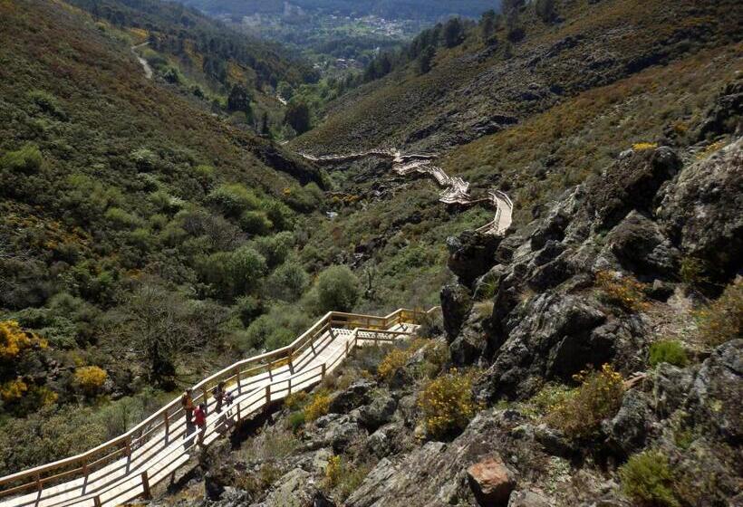 ベッドアンドブレックファースト O Homem Verde