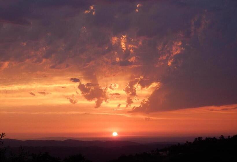 ベッドアンドブレックファースト O Homem Verde