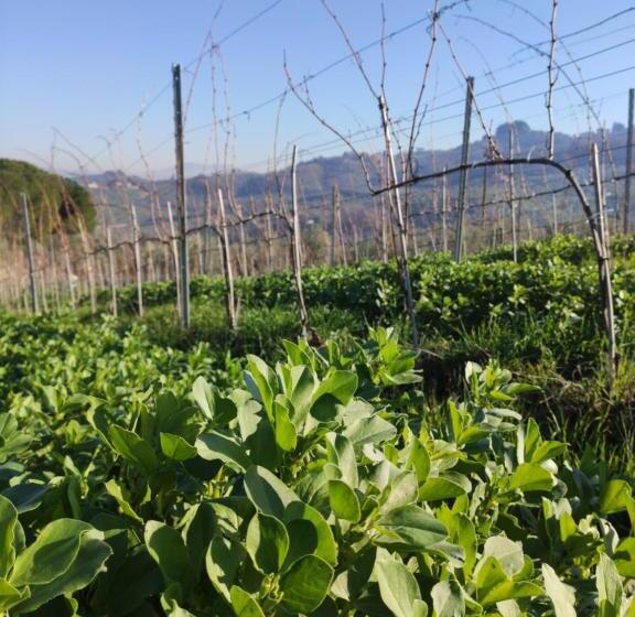 فندق Agriturismo Sotto La Rocca