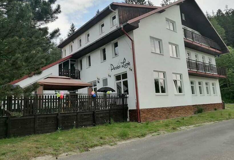 호텔 Penzion Lumis