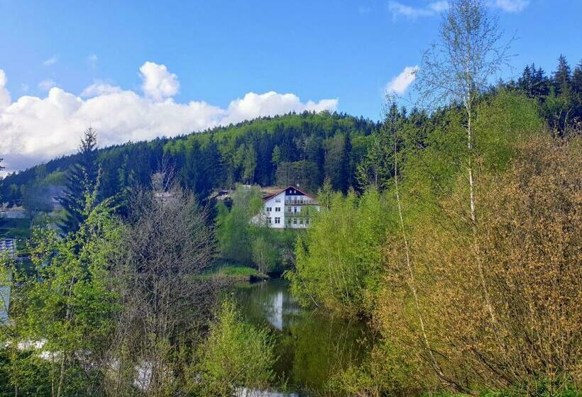 호텔 Penzion Lumis