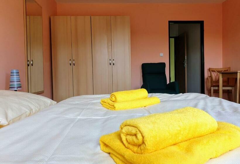 Отель Penzion Lumis