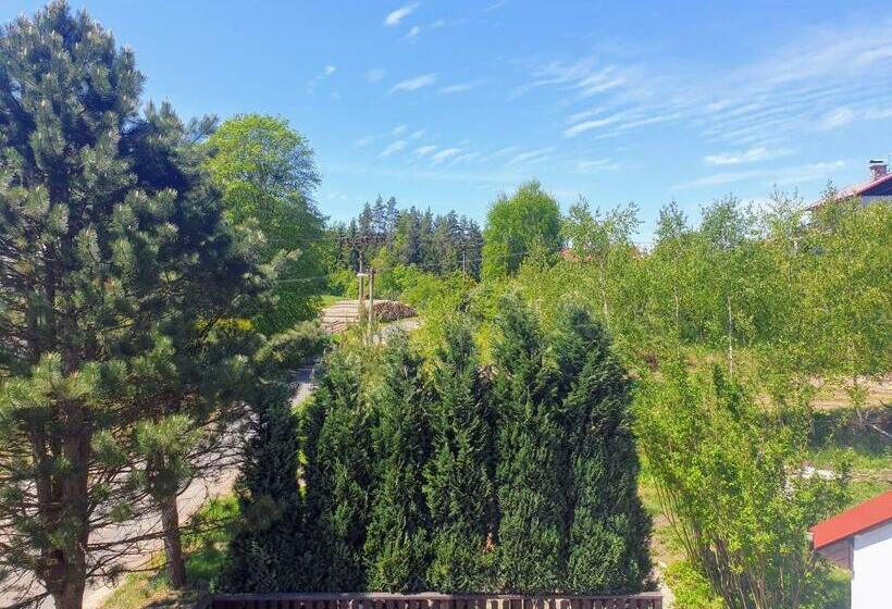 호텔 Penzion Lumis