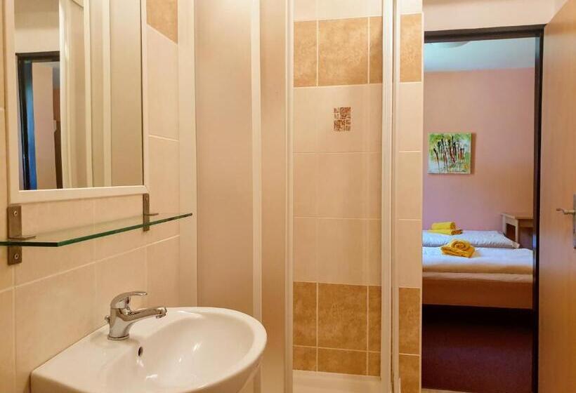 Отель Penzion Lumis