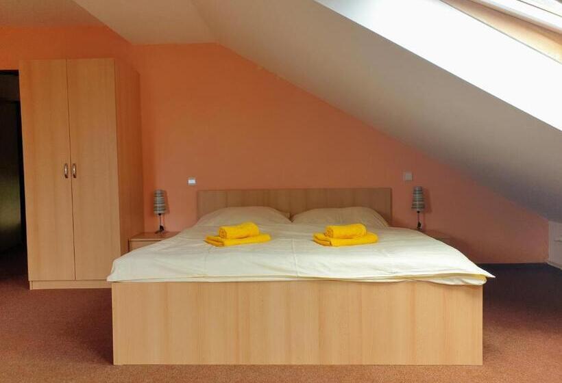 호텔 Penzion Lumis