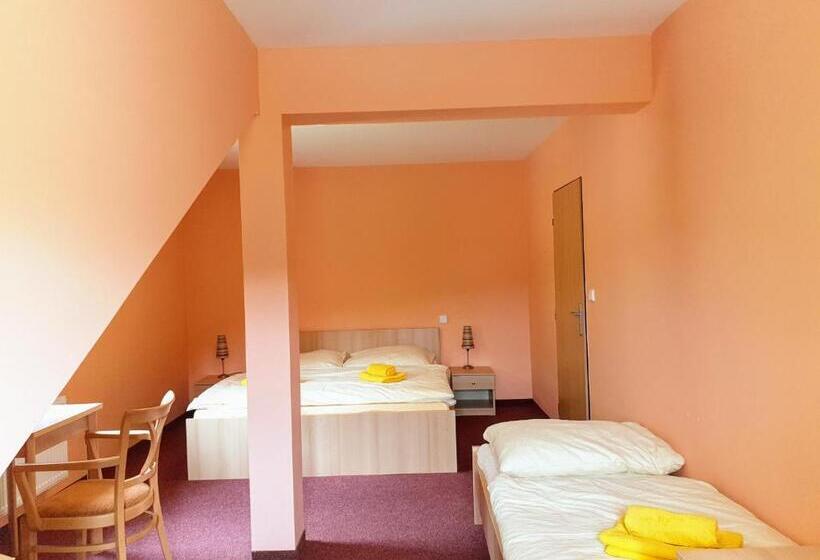 호텔 Penzion Lumis