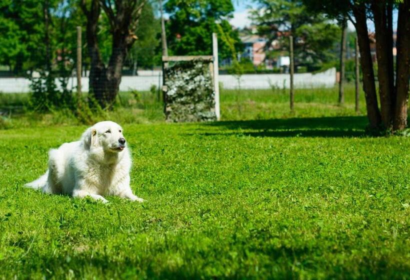 Il Martinetto Bed & Breakfast