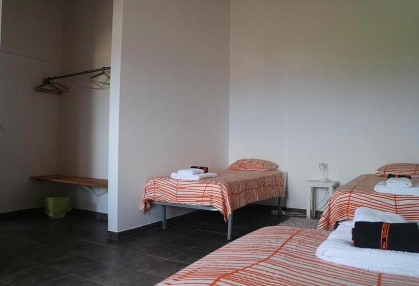 ペンション Casa Das Camarinhas Raal 542  Casa Partilhada