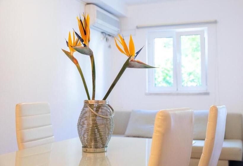 פנסיון Cem Sentido   Alentejo Apartments