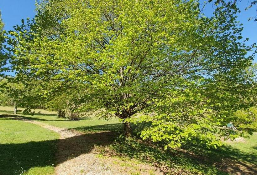 膳宿费 Domaine Du Cardou