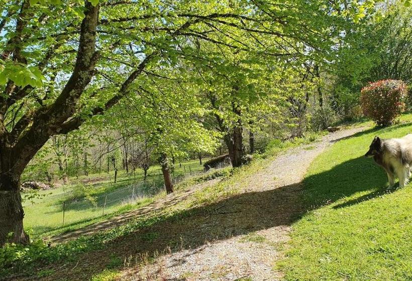 ペンション Domaine Du Cardou