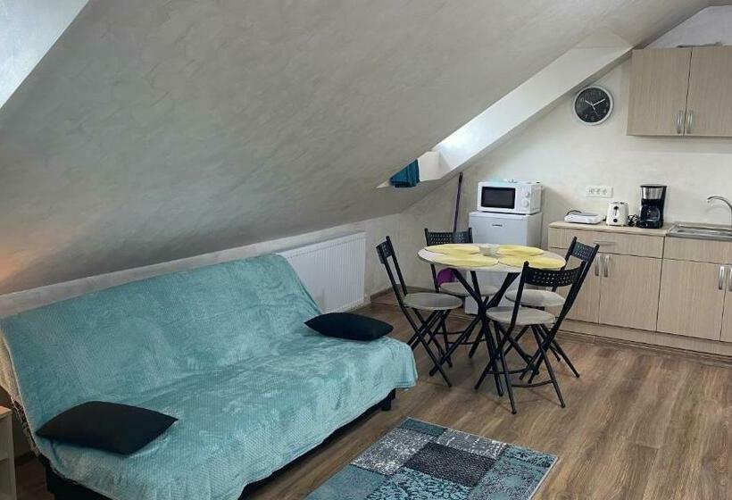 بنسيون Garsoniera în Vila Lavinia