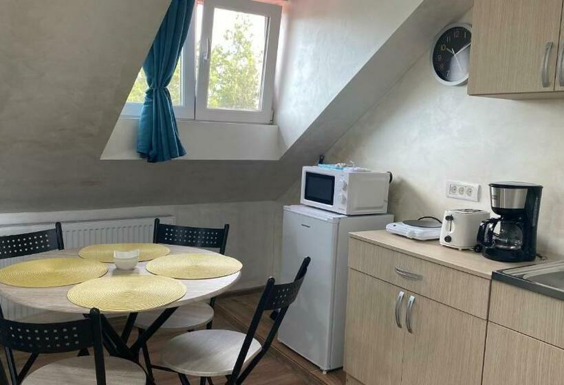 بنسيون Garsoniera în Vila Lavinia