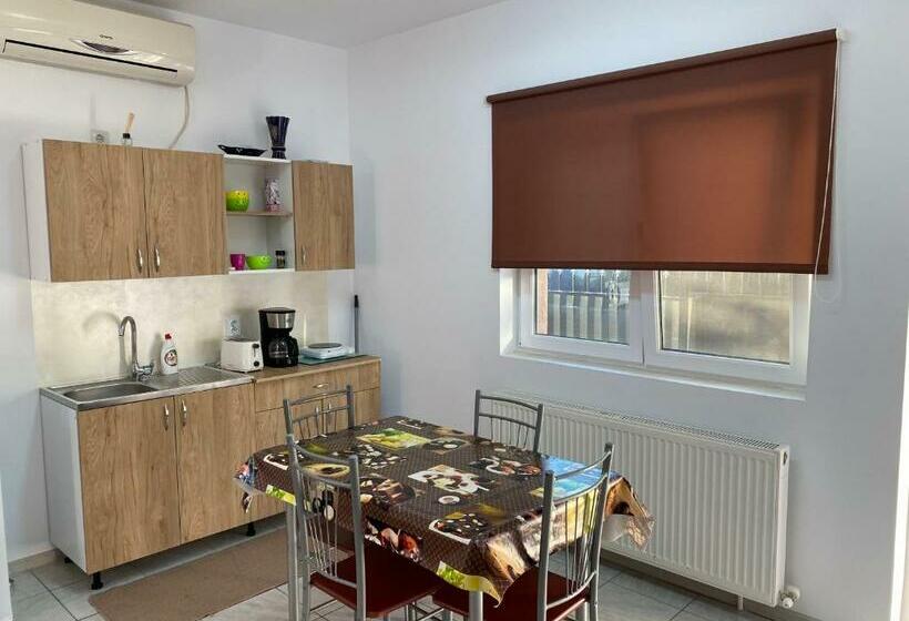 بنسيون Garsoniera în Vila Lavinia