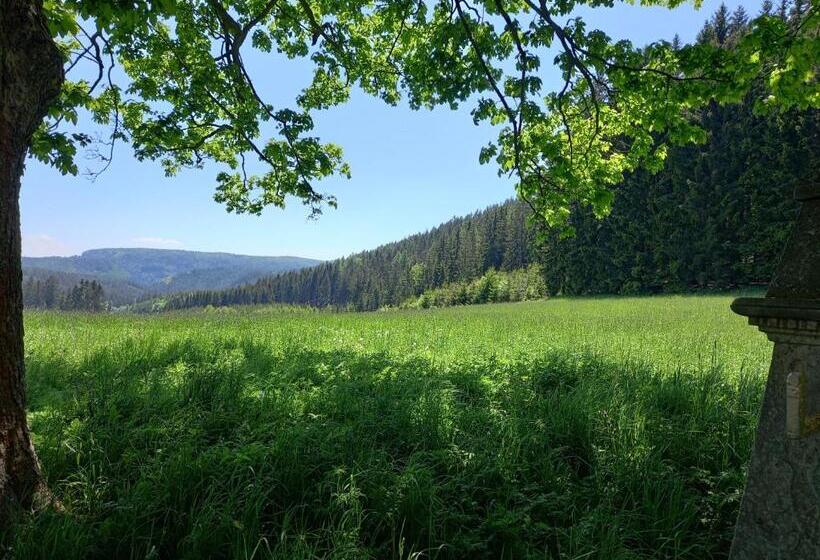 بنسيون Koruna Penzion