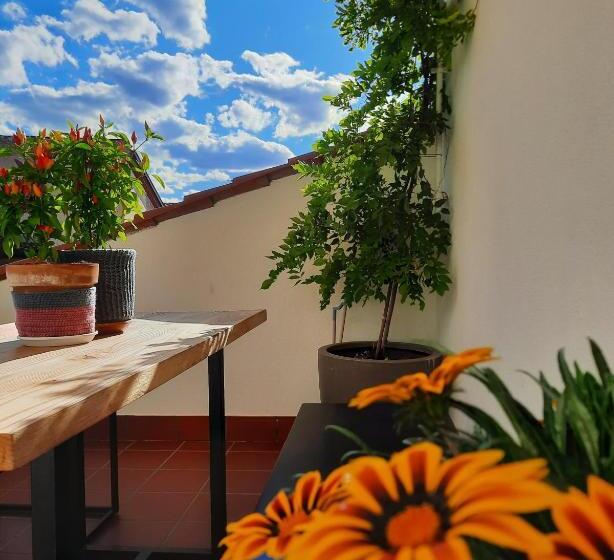 פנסיון Ruoti 1885