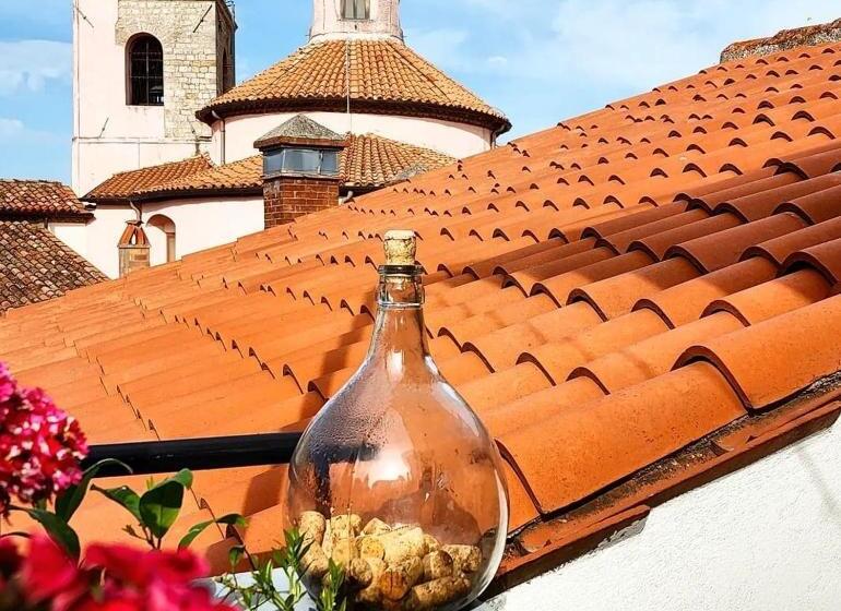 פנסיון Ruoti 1885