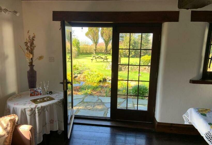 Slerra Hill Bed And Breakfast, Clovelly