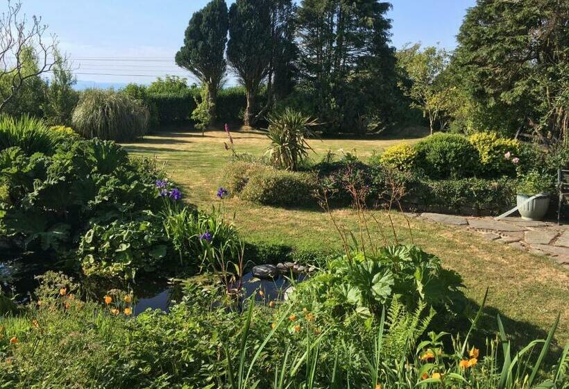 Slerra Hill Bed And Breakfast, Clovelly