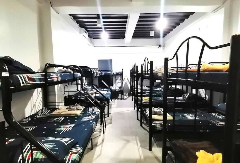 هاستل 2020 Travelers Inn