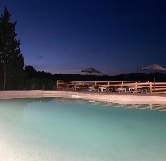 B&b Belvedere