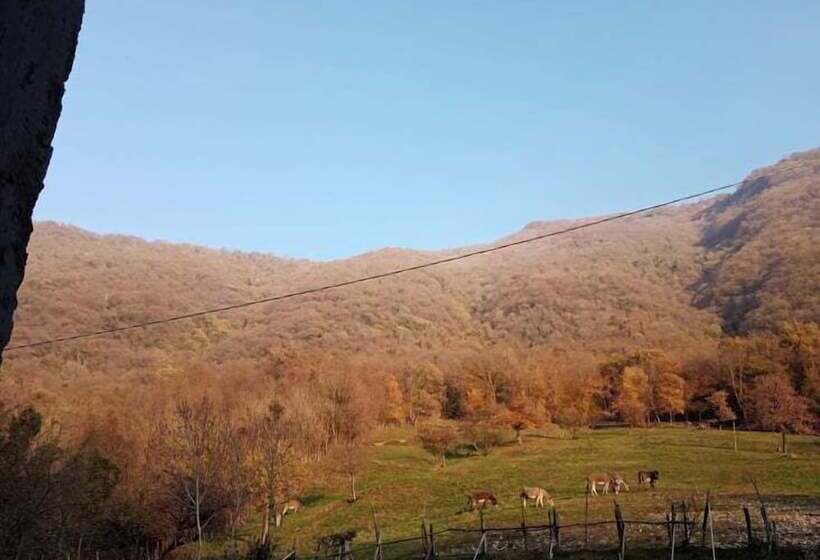 B&b La Corte Del Segrino