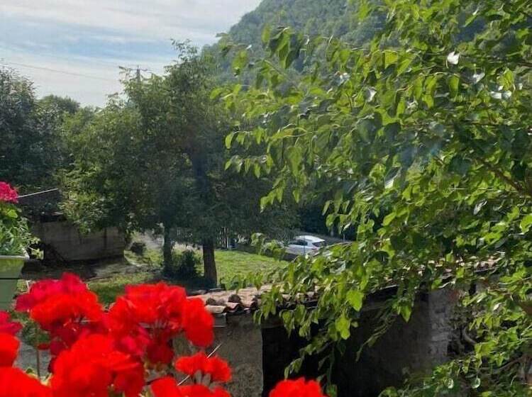 B&b La Corte Del Segrino