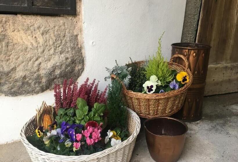 B&b La Corte Del Segrino