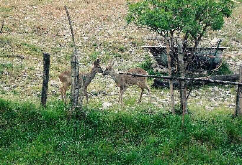 B&b La Corte Del Segrino