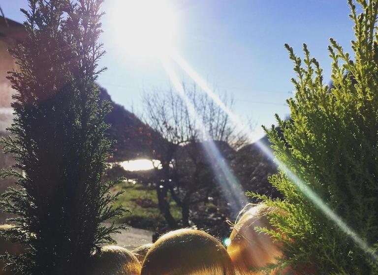 B&b La Corte Del Segrino