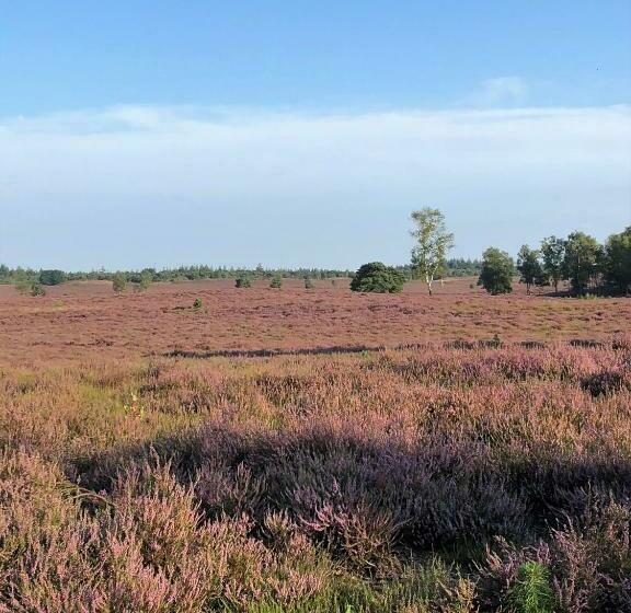 B&b Onderderietenkap