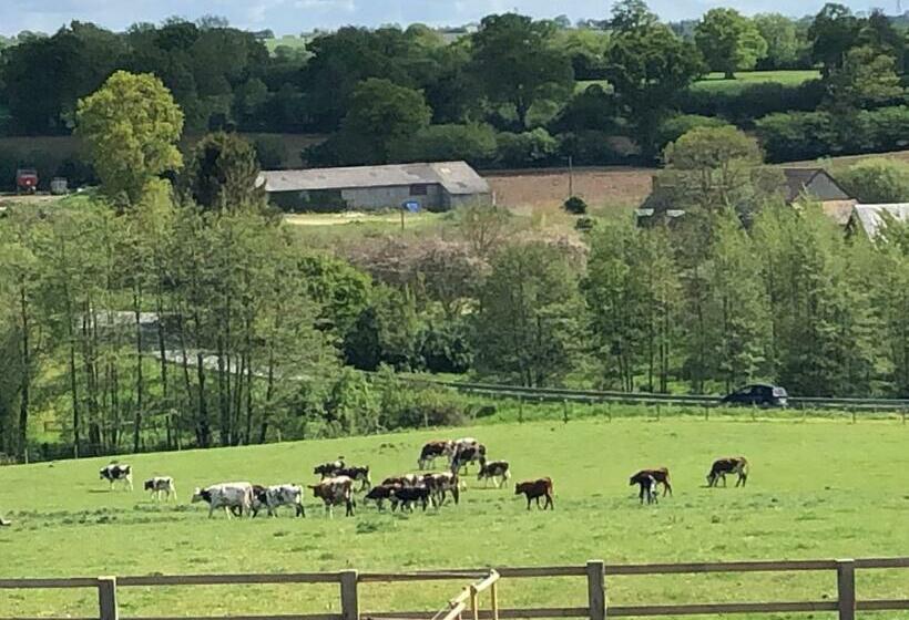住宿加早餐 Ancien Hôtel Aux Moines Pierrefitte St Lo
