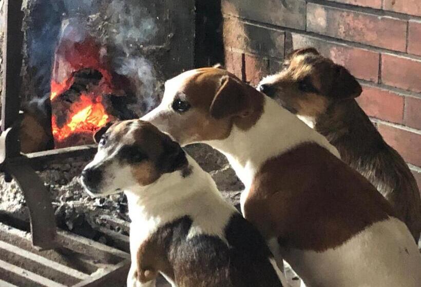 住宿加早餐 Ancien Hôtel Aux Moines Pierrefitte St Lo