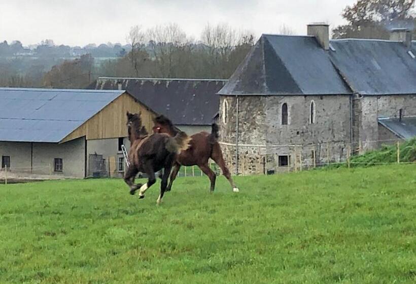 住宿加早餐 Ancien Hôtel Aux Moines Pierrefitte St Lo
